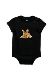 Kaninchen XS