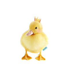 Muursticker eendje met kroon