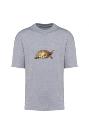 Schildkröte