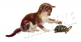 Kätzchen mit Schildkröte