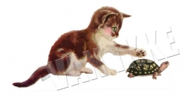 Poesje met schildpad