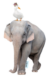 Elefant mit Gans