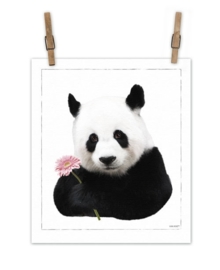 Panda op canvas