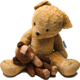 Teddybär