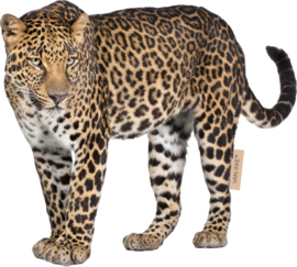 Wandtattoo Leopard