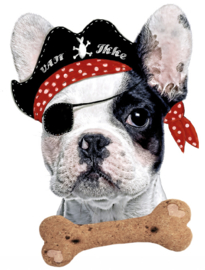 Piratenhund Bessie