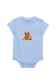 Kaninchen XS