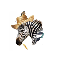 Wall Decal Zebra with hat