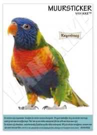 Regenbogenvogel