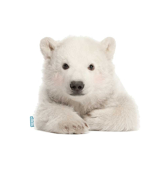 Wandtattoo Eisbär