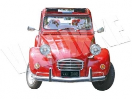 Deux chevaux rouges