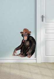 Wall decal Monkey with a lolly