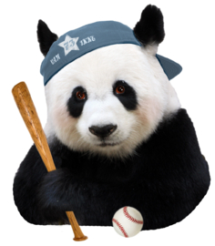 Baseball-Panda