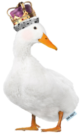 Koning gans