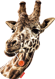Giraffe  mit Lutscher