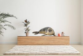 Wall sticker Seal