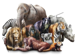 Collection of animals