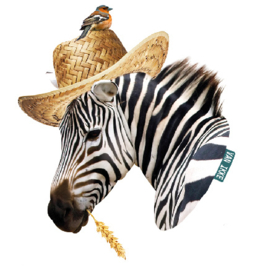 Zebra mit Kornähre