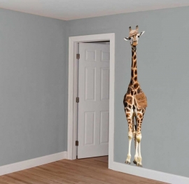 Wall decal Giraffe on safari