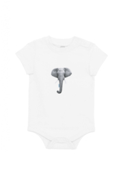 Elefant XS