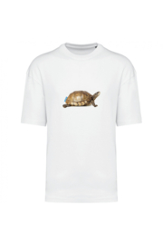 Schildkröte