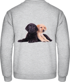 2 Labradorwelpen XL