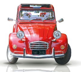 Deux chevaux rood