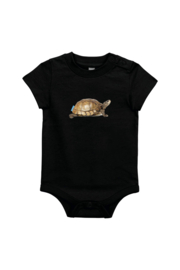 Schildkröte XS