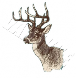 Line drawing deer