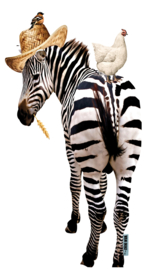 Zebra mit Huhn