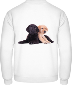 2 Labradorwelpen XL