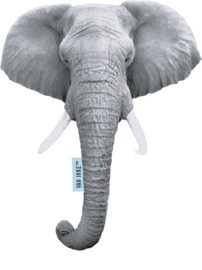 Elefant