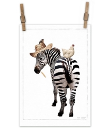 Zebra op canvas XL