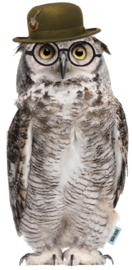 Eule mit Brille