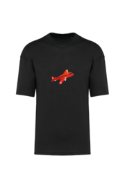 Rotes Flugzeug