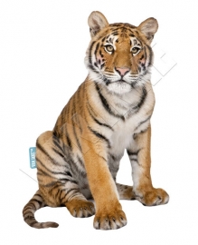 tijger