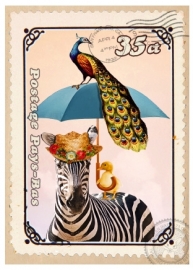 Kaart Zebra plu