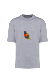 Regenbogenvogel
