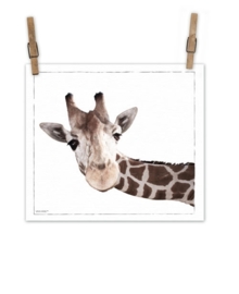 Giraffe auf Leinwand XL