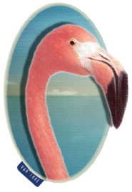 Flamingo-Nahaufnahme