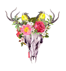 Dear skull with flowers and birds
