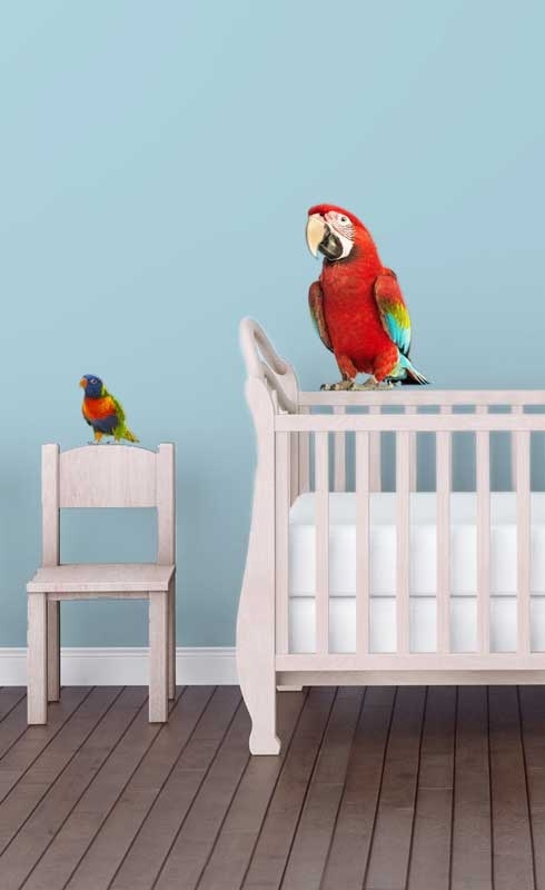 Wall decal set of Parrots