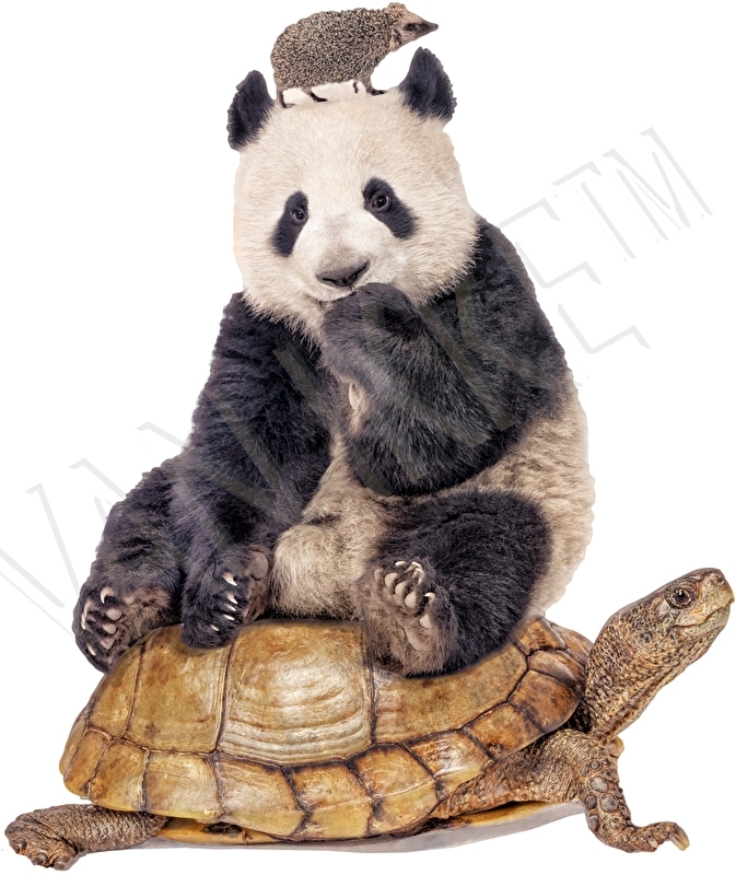 Panda sur tortue avec hérisson
