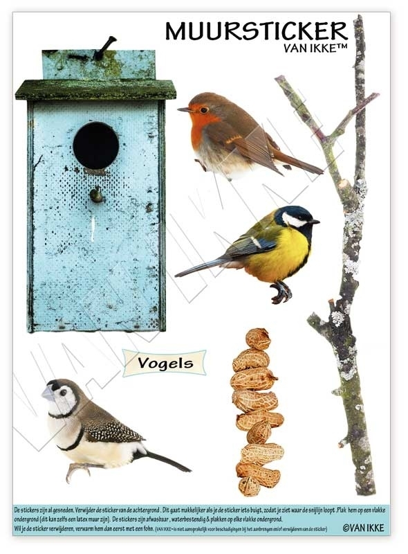 Wall Decal Birds with birdshouse