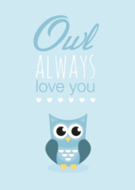 Poster owl always love you blauw A4