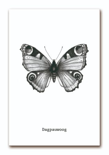 Poster vlinder zwart-wit A4