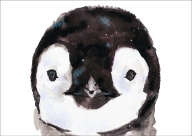 Kaart pinguin