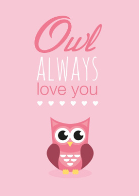 Poster owl always love you roze A4