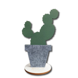 Pot vilt met plant hout en voet Cactus