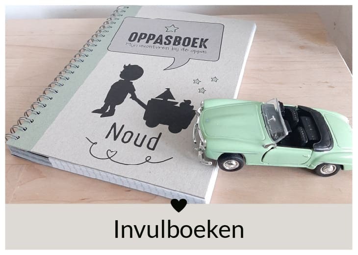 Gepersonaliseerd Invulboeken